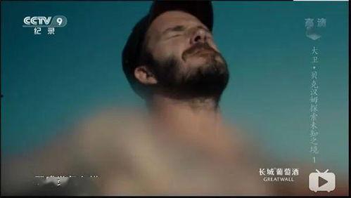 有码视频1,精彩瞬间与幕后故事