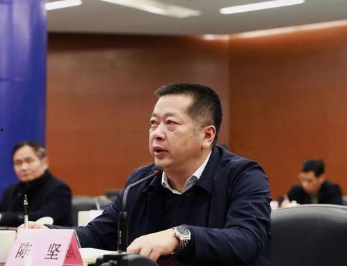 陈坚视频,揭秘其独特魅力与影响力